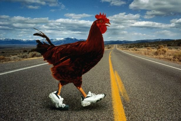 Prezentare generală jocul chicken road