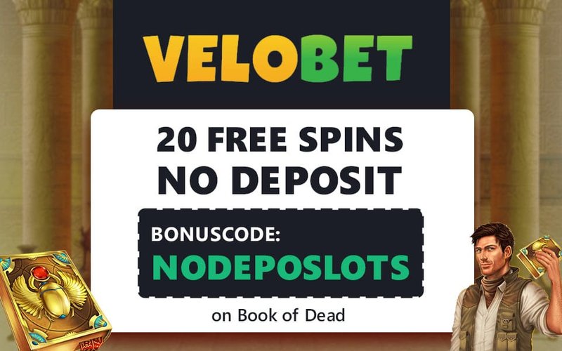 A look at velobet bonus code